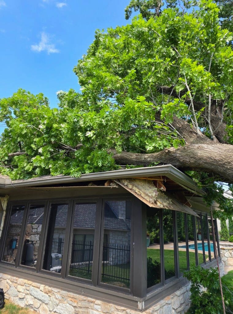 tree service Oklahoma City
