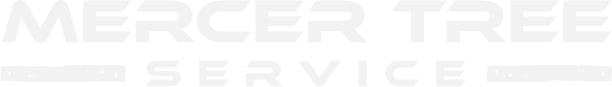 Certitified Arborist | Mercer Tree Service