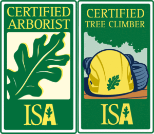 ISACertified tree service Oklahoma City